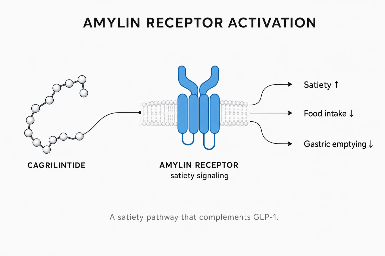 Research diagram