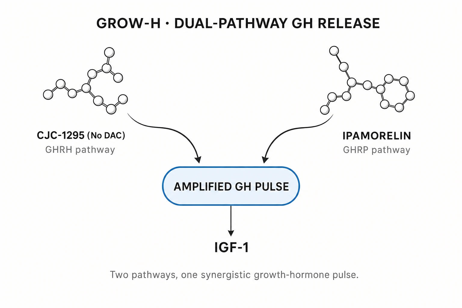 Research mechanism diagram