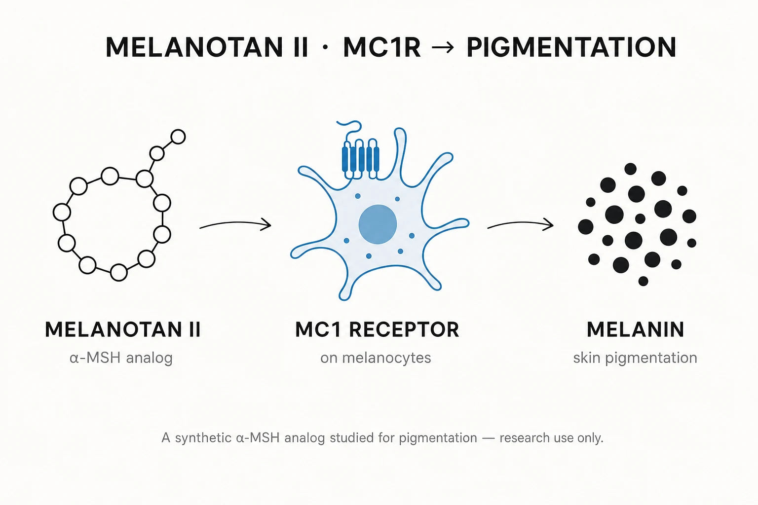 Research mechanism diagram