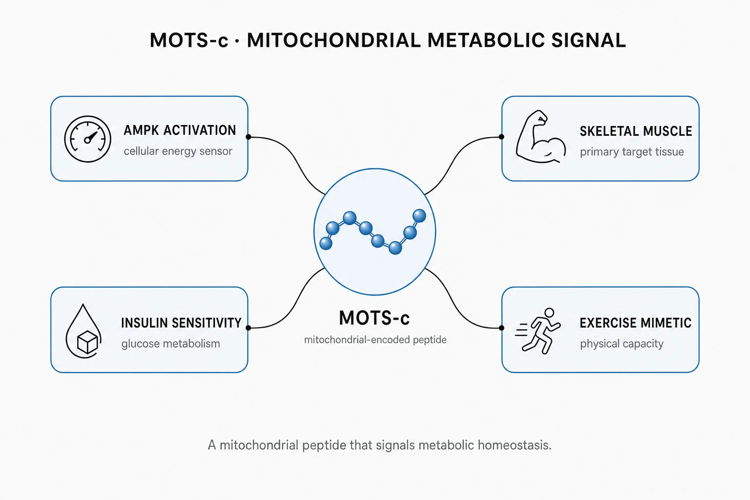 Research mechanism diagram