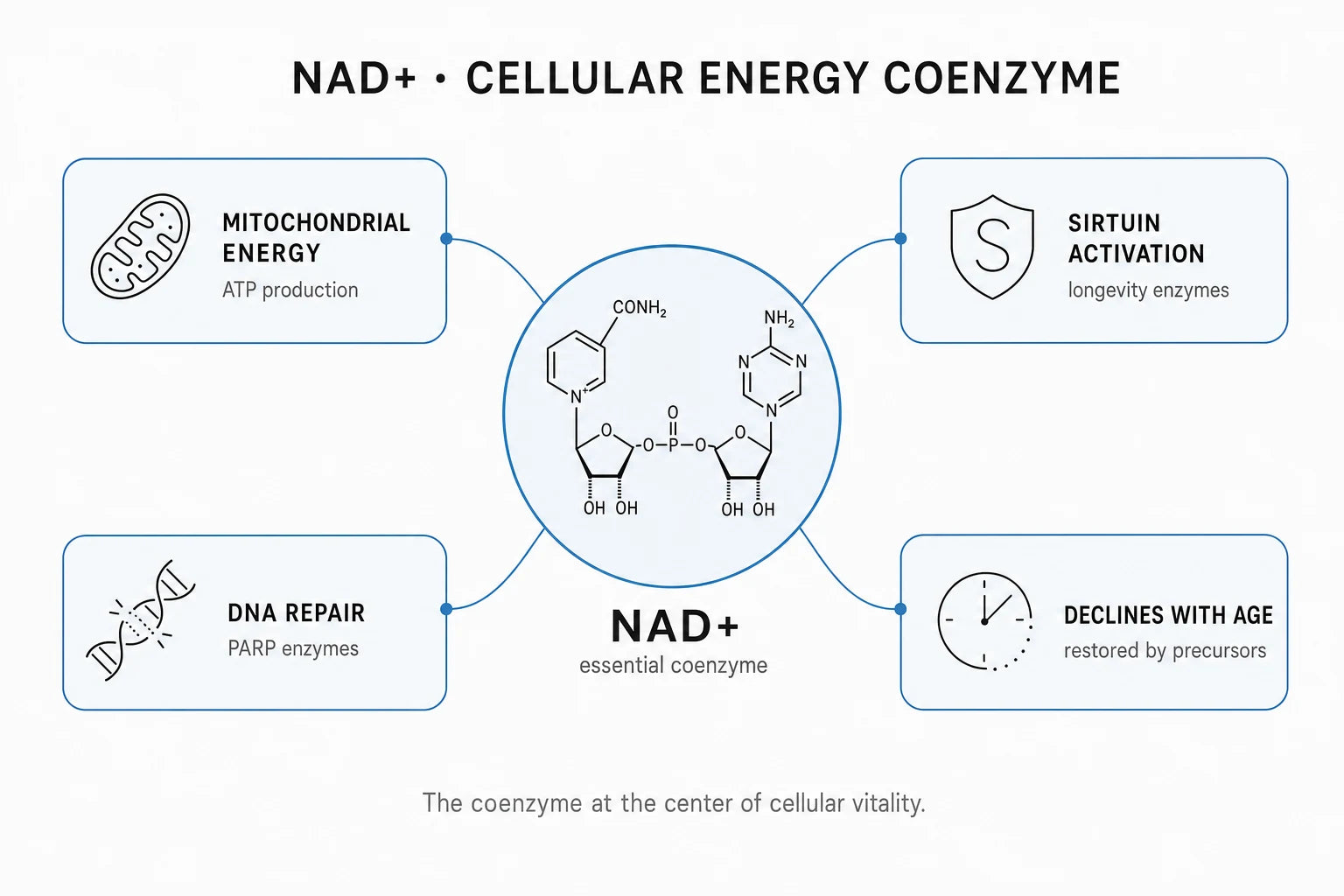 Research mechanism diagram