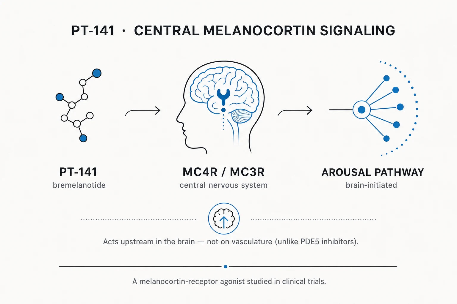 Research mechanism diagram