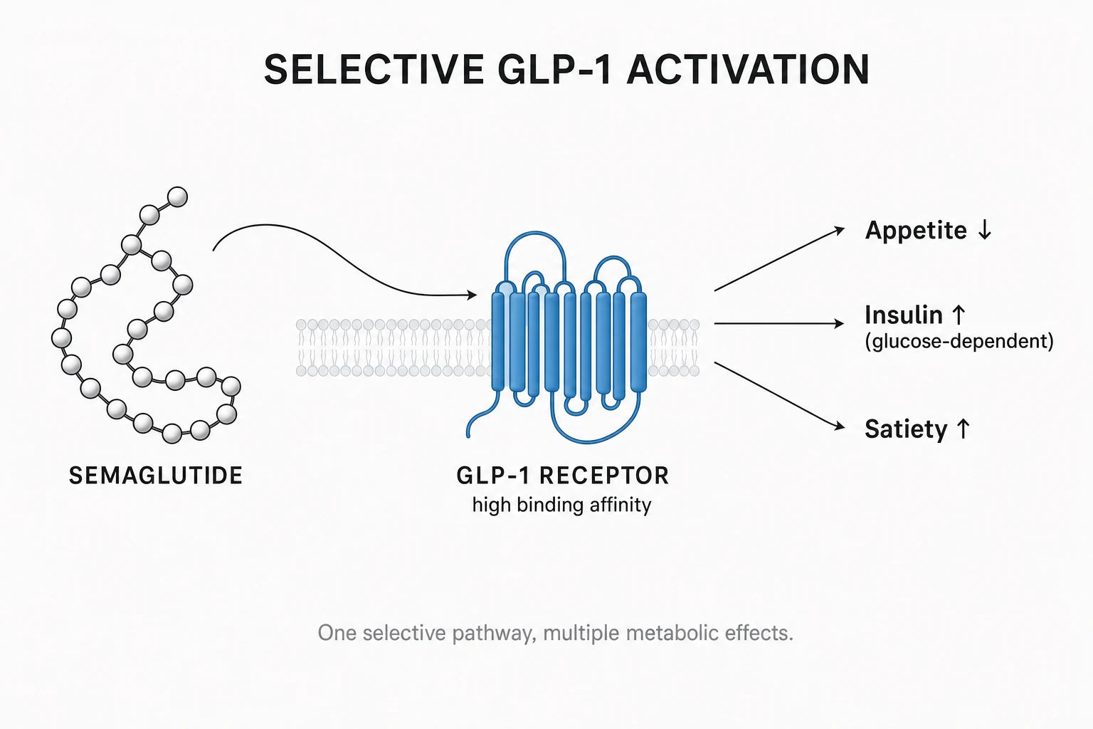 Research diagram
