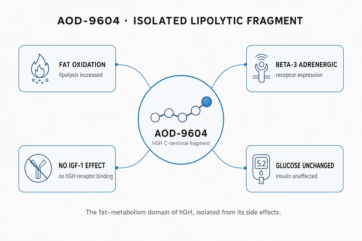 Research mechanism diagram
