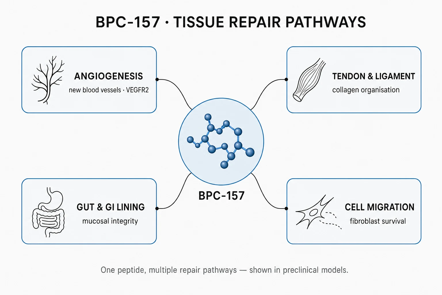 Research mechanism diagram
