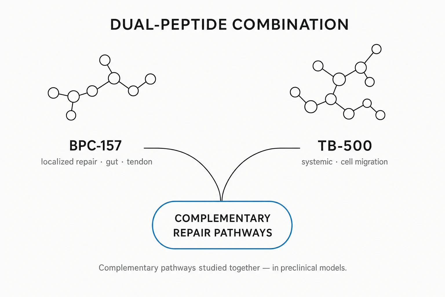 Research mechanism diagram