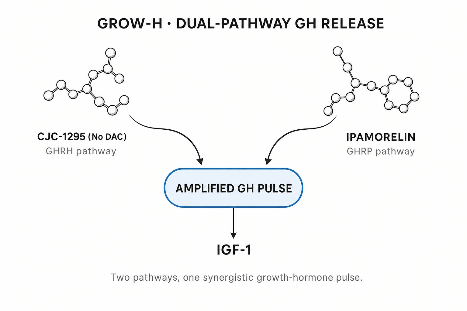 Research mechanism diagram