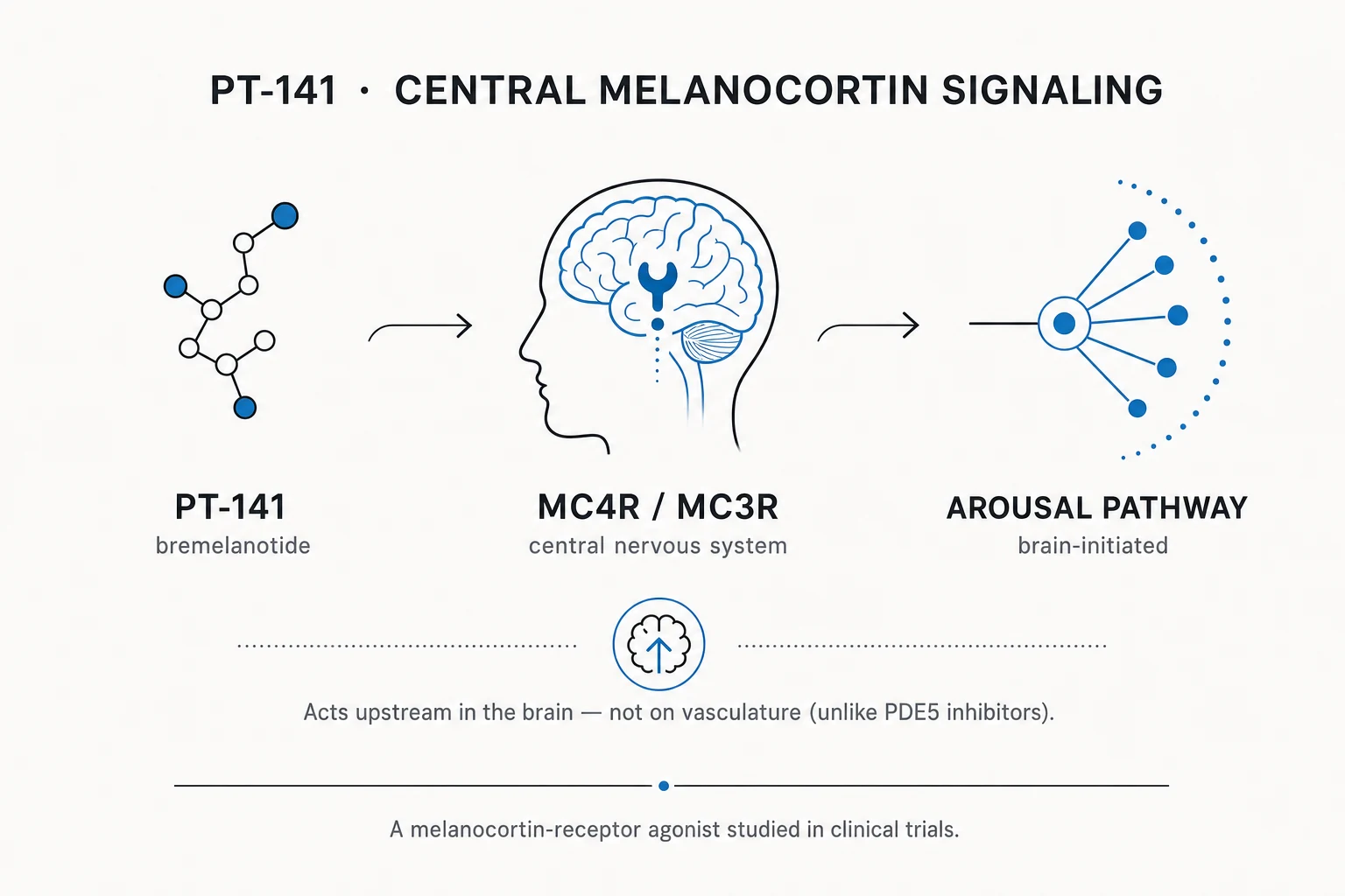 Research mechanism diagram