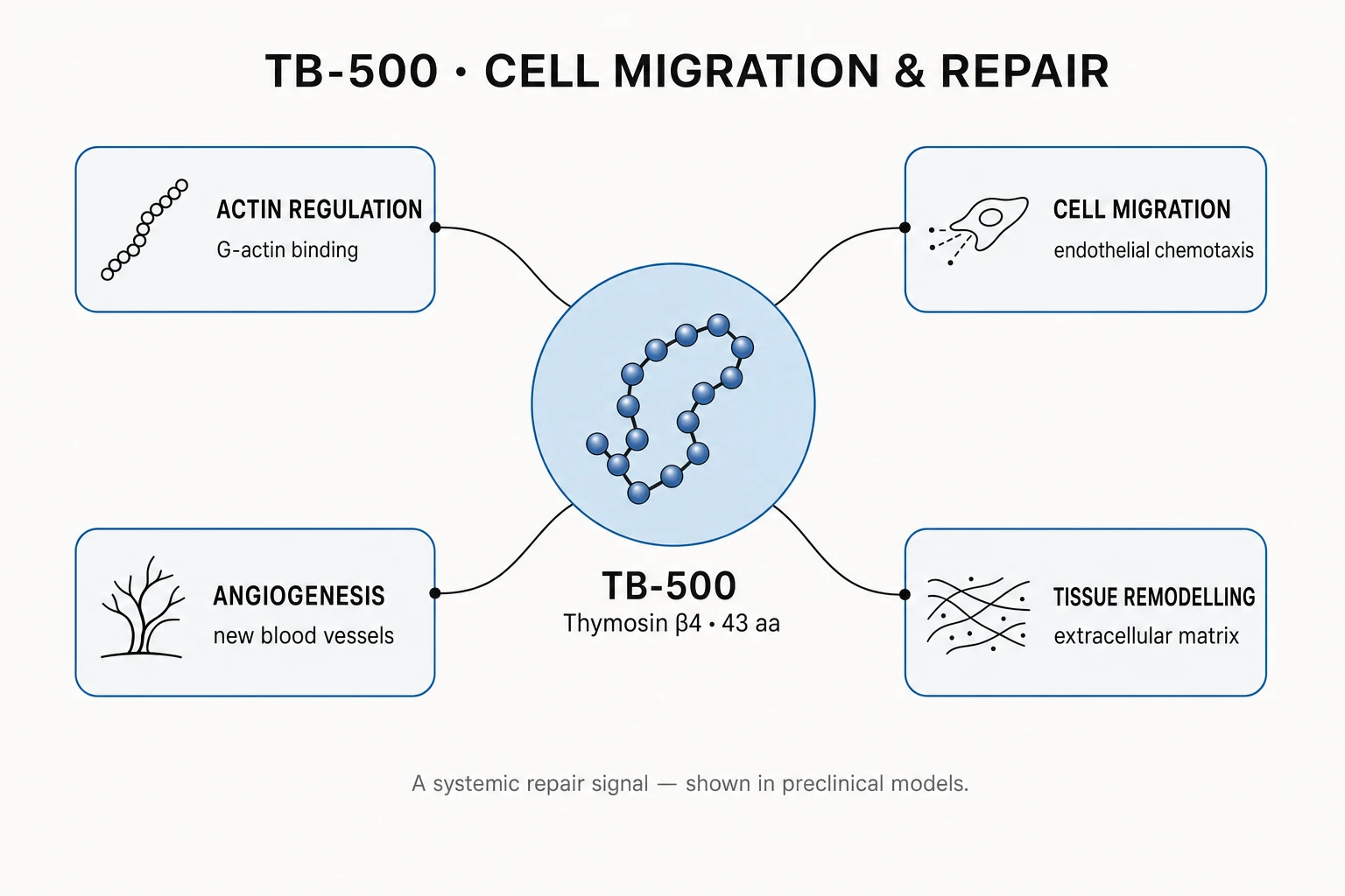 Research mechanism diagram